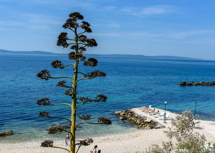 Alojamento de Acomodação e Pequeno-almoço Location Split